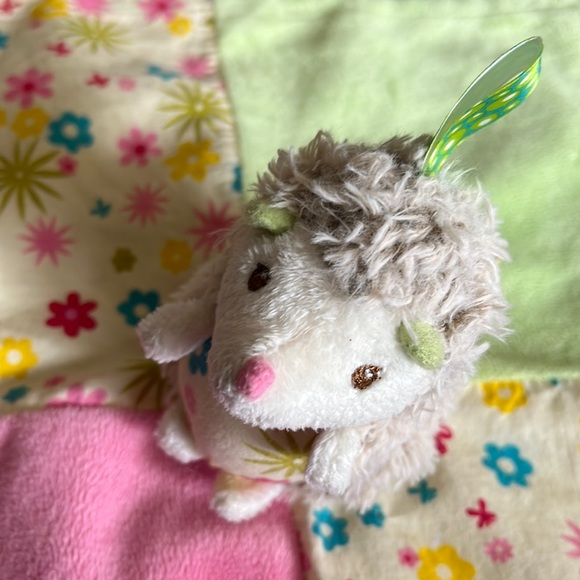Taggies Hedgehog Lovey Baby Security Blanket - Picture 2 of 13